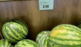 51今日吃瓜热门大瓜视频 朝阳吃瓜51cg,揭秘51今日吃瓜热门大瓜视频背后的故事